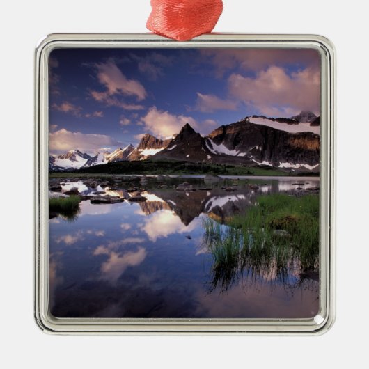 北米，カナダ，アルベルタ，ジャスパー4 メタルオーナメント (正面)