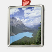 北米，カナダ，アルベルタ，ジャスパー6 メタルオーナメント (左)