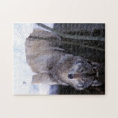 北米、カナダ、カナダ東部、グレーウルフ ジグソーパズル (横)