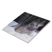 北米、カナダ、カナダ東部、グレーウルフ タイル (側面)