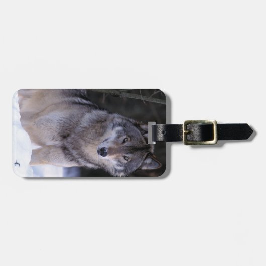 北米、カナダ、カナダ東部、グレーウルフ ラゲッジタグ (正面横)