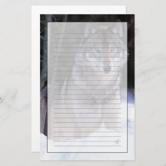 北米、カナダ、カナダ東部、グレーウルフ 便箋 (正面/裏面)