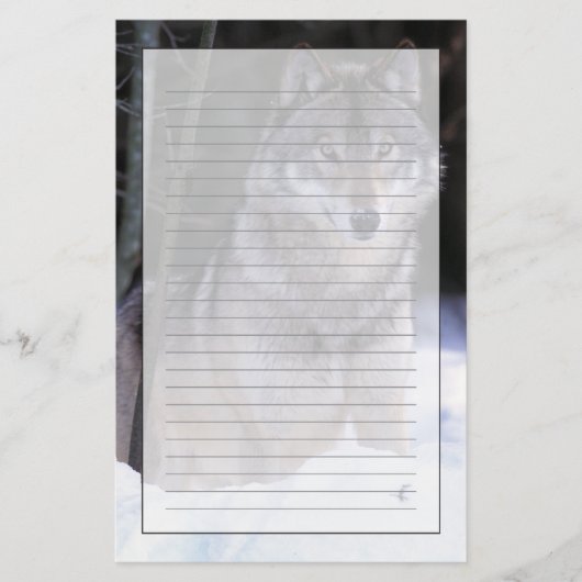 北米、カナダ、カナダ東部、グレーウルフ 便箋 (正面)