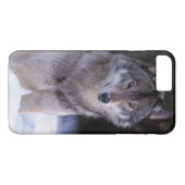 北米、カナダ、カナダ東部、タイリクオオカミ Case-Mate iPhoneケース (裏面(横))