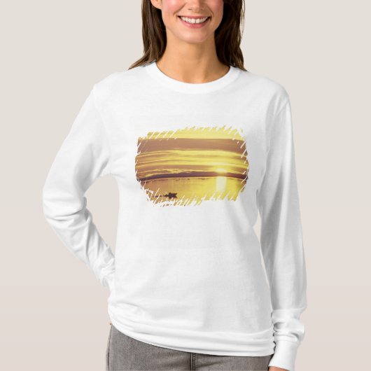 北米, カナダ, カナディアン・アークティック, バフィン島 Tシャツ (正面)