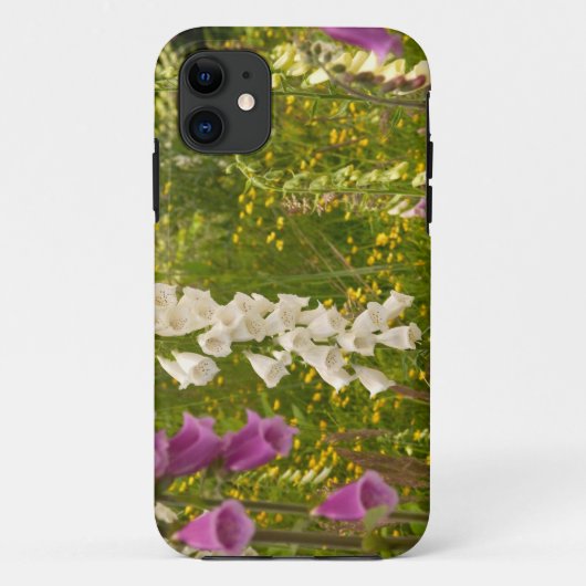北米, カナダ, クイーンシャーロット諸島, 5 Case-Mate iPhoneケース (裏面)