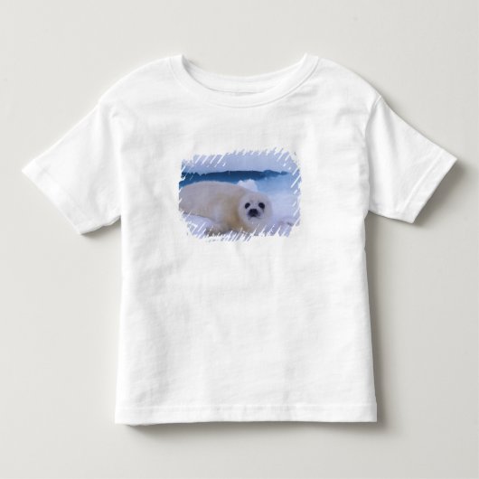 北米、カナダ、ケベック、ハープアザラシ トドラーTシャツ (正面)