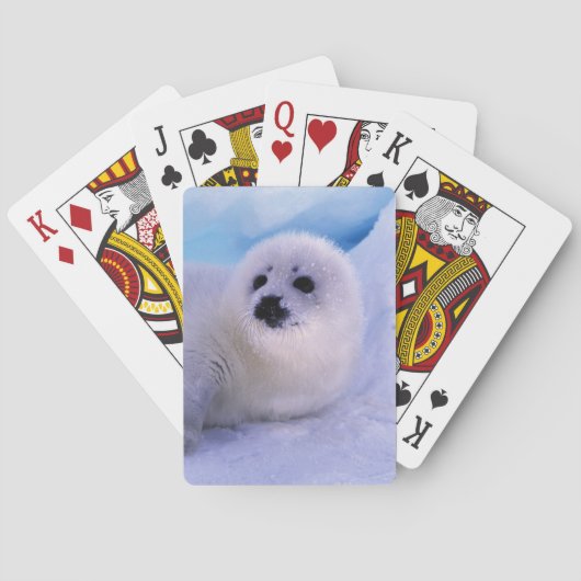 北米、カナダ、セントローレンス湾 トランプ (裏面)