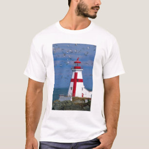 北米, カナダ, ニューブランズウィック州, キャンポベロ島. 8 Tシャツ