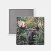 北米, カナダ, ノバスコシア州, ケープブレトン マグネット (正面/裏面)