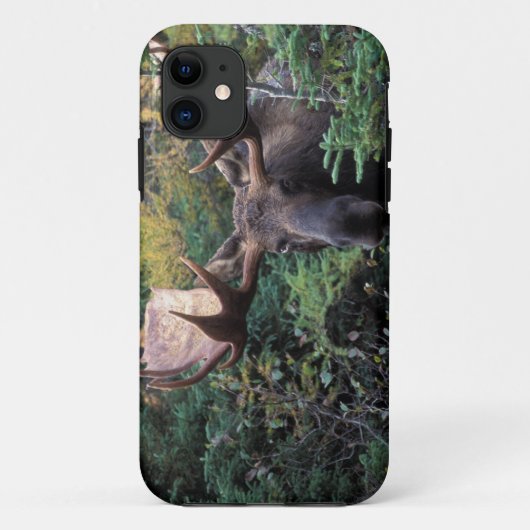 北米, カナダ, ノバスコシア州, ケープブレトン Case-Mate iPhoneケース (裏面)