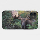 北米, カナダ, ノバスコシア州, ケープブレトン Case-Mate iPhoneケース (裏面(横))