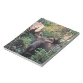 北米、カナダ、ノバスコシア、ブレトン岬 ノートパッド (回転)