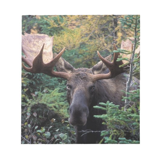 北米、カナダ、ノバスコシア、ブレトン岬 ノートパッド (正面)