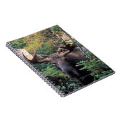 北米、カナダ、ノバスコシア、ブレトン岬 ノートブック (右側)