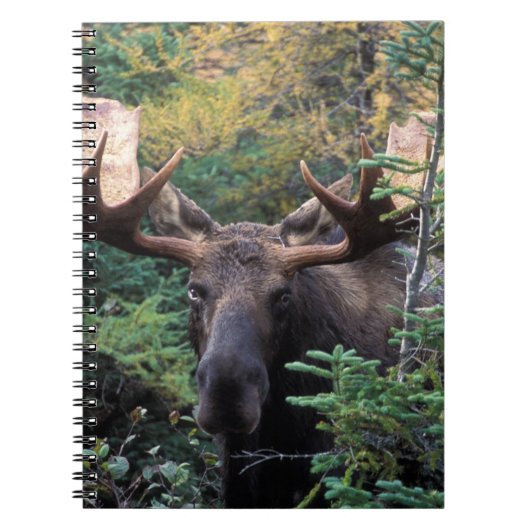 北米、カナダ、ノバスコシア、ブレトン岬 ノートブック (正面)