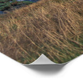 北米、カナダ、ノバスコシア、ブレトン岬、 ポスター (角)