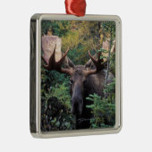 北米、カナダ、ノバスコシア、ブレトン岬 メタルオーナメント (右)