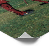 北米，カナダ，ノバスコシア，ブレトン岬， 2 ポスター (角)