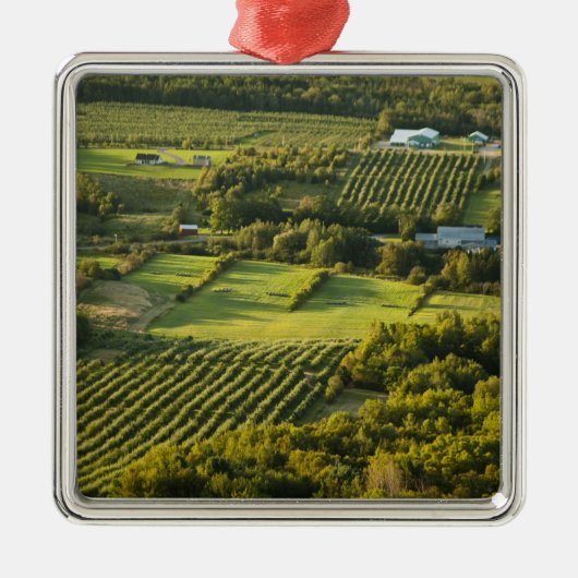 北米、カナダ、ノヴァスコシア、アナポリス メタルオーナメント (正面)