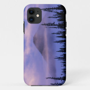 北米, カナダ, ノースウエスト準州, iPhone 11 ケース