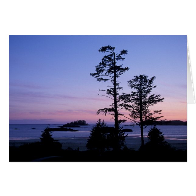 北米, カナダ, バンクーバー島, 木々 (正面横)