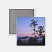 北米, カナダ, バンクーバー島, 木々 マグネット (正面/裏面)