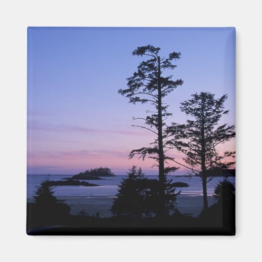 北米, カナダ, バンクーバー島, 木々 マグネット (正面)