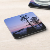 北米、カナダ、バンクーバー島、樹木 コースター (左側)