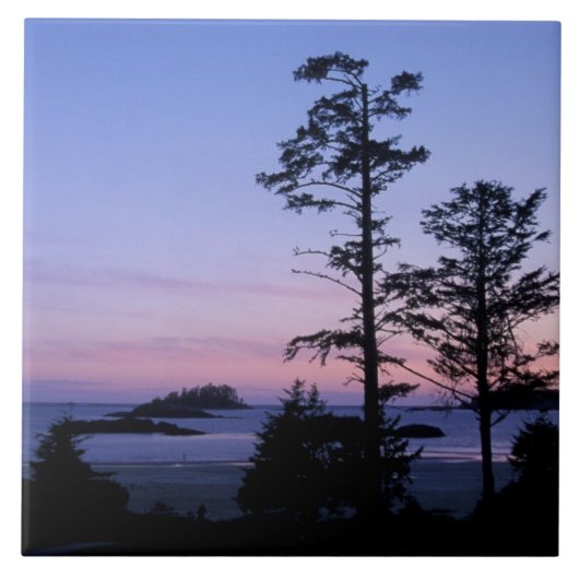 北米、カナダ、バンクーバー島、樹木 タイル (正面)