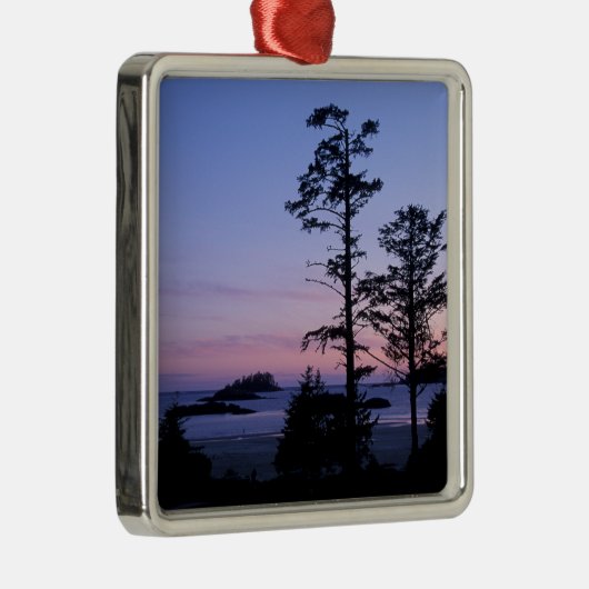 北米、カナダ、バンクーバー島、樹木 メタルオーナメント (右)