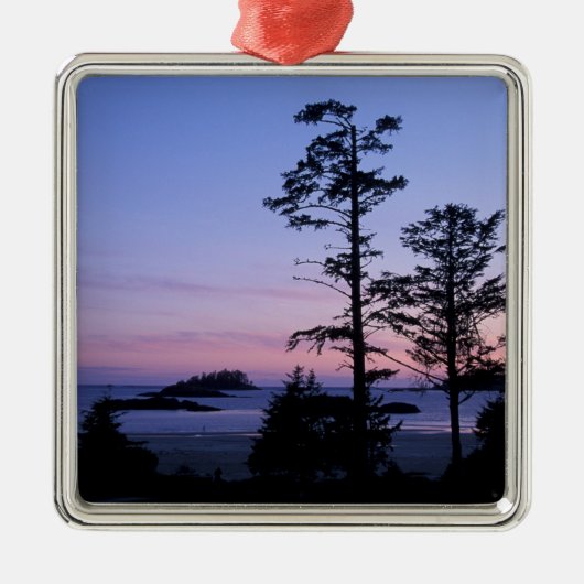 北米、カナダ、バンクーバー島、樹木 メタルオーナメント (正面)