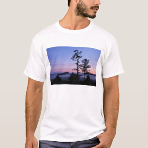 北米, カナダ, バンクーバー島, 樹木 Tシャツ