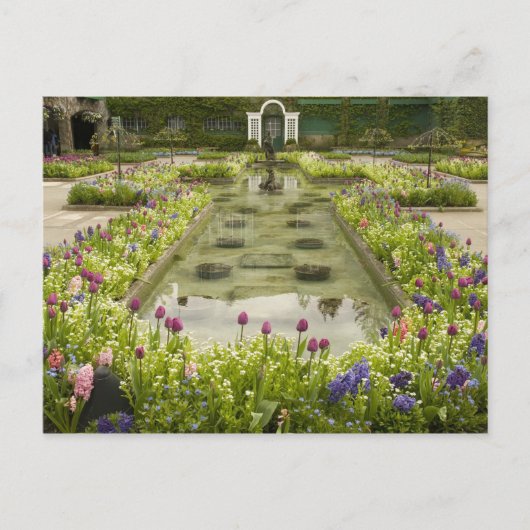 北米、カナダ、ブリティッシュコロンビア州、4 ポストカード (正面)