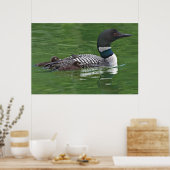 北米、カナダ、ブリティッシュコロンビア、ラック2 ポスター (キッチン)