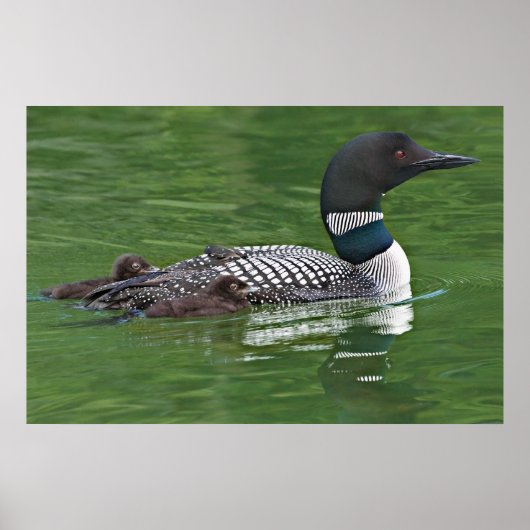 北米、カナダ、ブリティッシュコロンビア、ラック2 ポスター (正面)