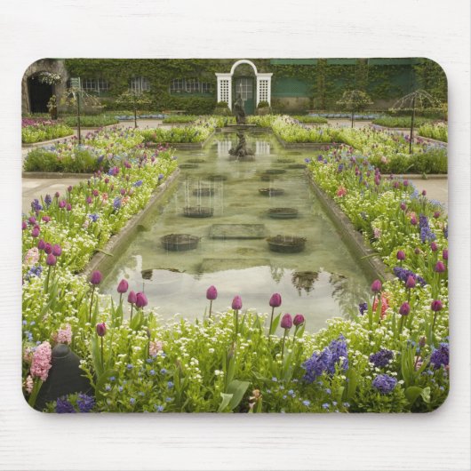 北米,カナダ,ブリティッシュコロンビア, 4 マウスパッド (正面)