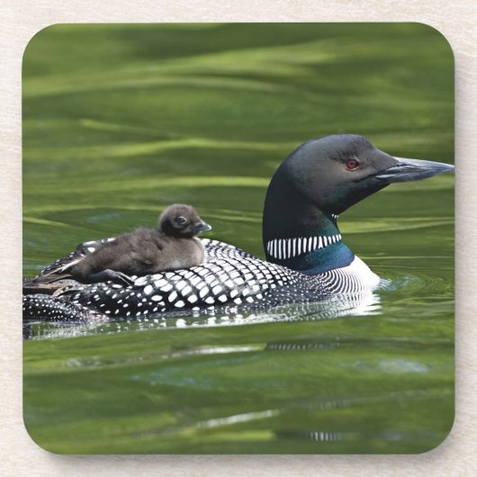 北米、カナダ、ブリティッシュ・コロンビア、ラック・ル コースター (正面)