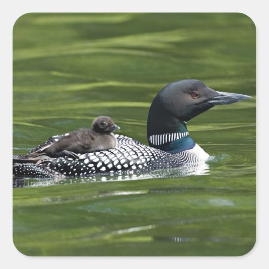 北米、カナダ、ブリティッシュ・コロンビア、ラック・ル スクエアシール (正面)