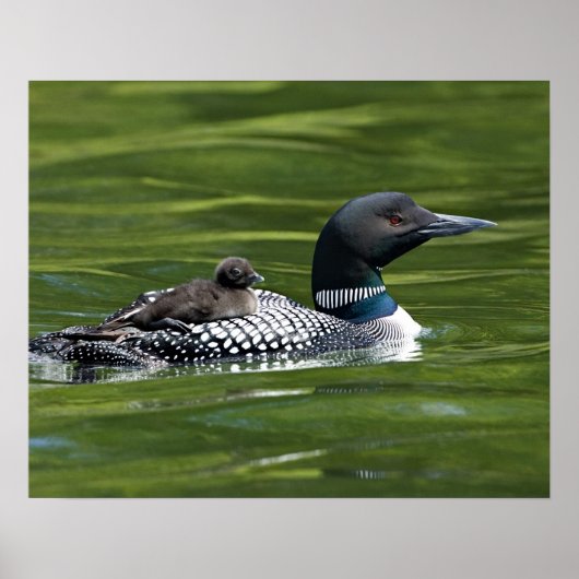 北米、カナダ、ブリティッシュ・コロンビア、ラック・ル ポスター (正面)