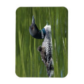 北米、カナダ、ブリティッシュ・コロンビア、ラック・ル マグネット (縦)