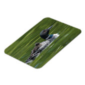 北米、カナダ、ブリティッシュ・コロンビア、ラック・ル マグネット (左側)