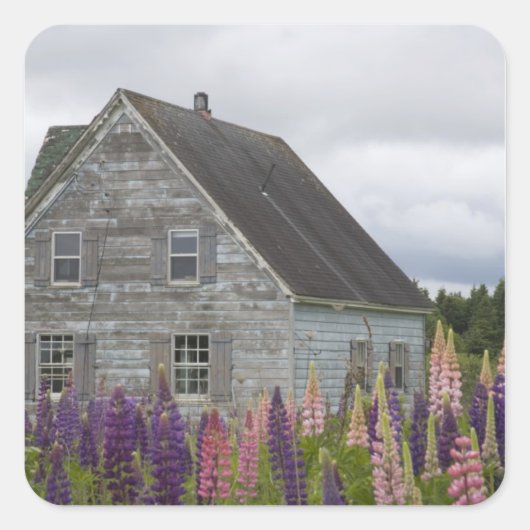 北米、カナダ、プリンスエドワード島 スクエアシール (正面)