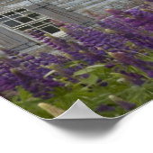 北米、カナダ、プリンスエドワード島 ポスター (角)