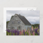 北米、カナダ、プリンスエドワード島 ポストカード (正面/裏面)