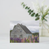 北米、カナダ、プリンスエドワード島 ポストカード (スタンド正面)