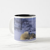 北米、カナダ、マニトバ、チャーチル ツートーンマグカップ (正面左)