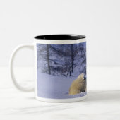 北米、カナダ、マニトバ、チャーチル ツートーンマグカップ (左)