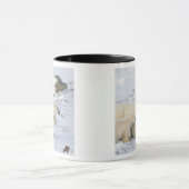 北米、カナダ、マニトバ、チャーチル マグカップ (中央)