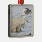 北米、カナダ、マニトバ、チャーチル。4 メタルオーナメント (右)